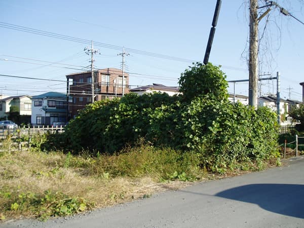 ビニールハウス施工 - BEFORE