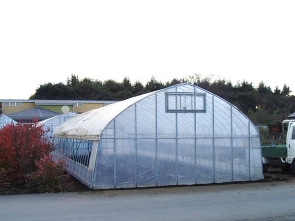 ビニールハウス施工 - AFTER